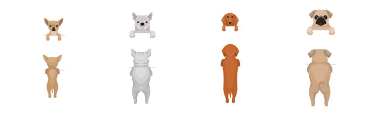 Dogs of Different Breeds Standing on Hind Legs Front and Back Vector Set