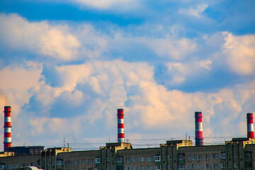plant with smoke