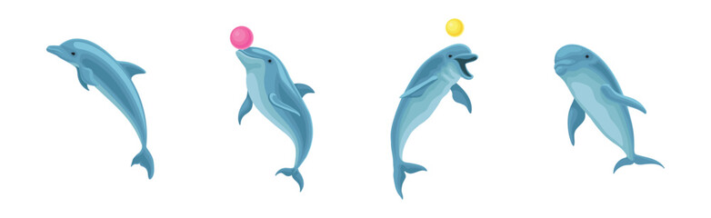 Blue Dolphin as Aquatic Mammal with Streamlined Body and Flippers Playing Ball Vector Set