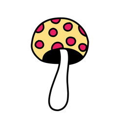 mushroom vegetable