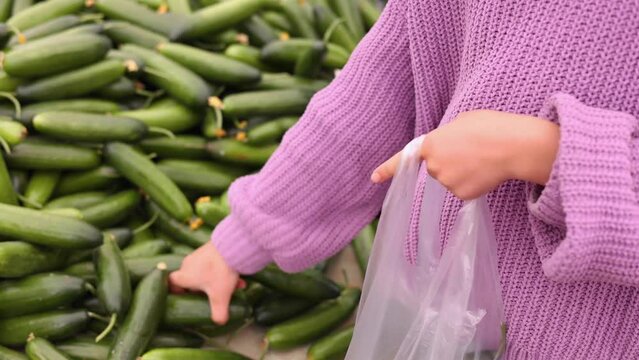 Little girl's hands in lilac pullover put cucumbers into plastic bag, veggies shopping, healthy food concept