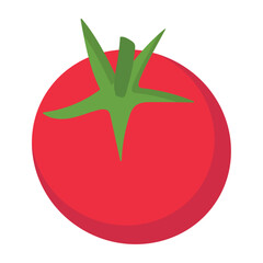 Isolated colored tomato vegetable icon Vector
