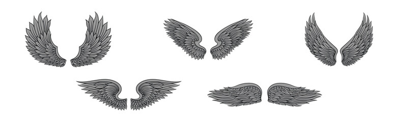 Heraldic Wings with Feathers Isolated on White Background Vector Set
