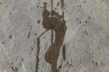 Footprint of bare wet human foot on concrete