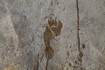 Footprint of bare wet human foot on concrete