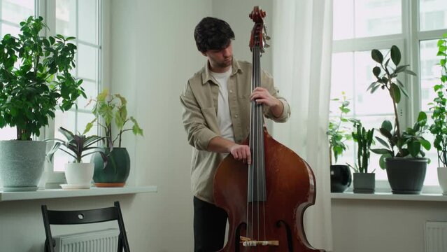 Portrait of a smiling jazzman holding an old double bass in his hands, a man playing standing on the double bass. 