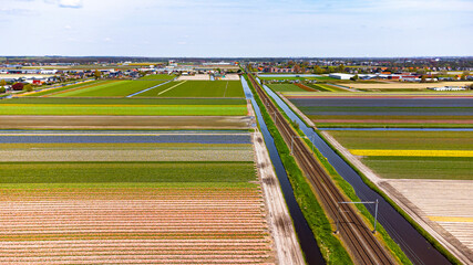 Tulip fields with reds, yellows, greens, purples and oranges in full bloom near Amsterdam (Bollenstreek), Holland, The Netherlands