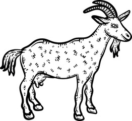 Goat Animal Coloring Page for Adults