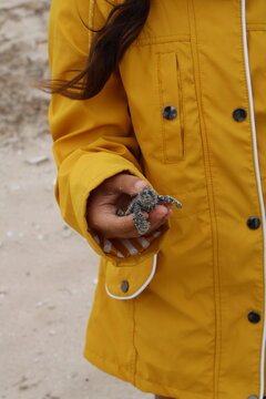 Ni&ntilde;a con parca amarilla sostiene peque&ntilde;a tortuga marina en la mano