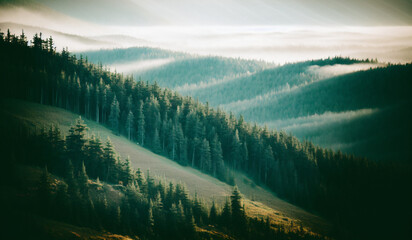 Landscape, morning forest and mountains with fog. Generative AI.