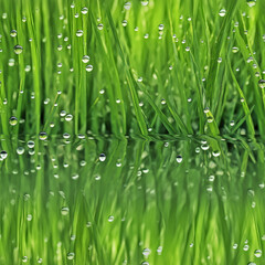 Fototapeta na wymiar MOZANI STUDIO - REPEATING SEAMLESS TEXTURE Plants in the Flesh- Dew on Grass