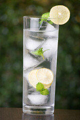 Closeup of mojito in collins glass on table, refreshing drink