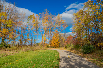 Fototapeta premium Beautiful Fall Colors Along The Local Trail In Wisconsin
