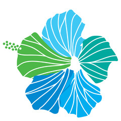 hibiscus illustration ,refreshing light blue,  image of southern country and hawaii and tropical image | apparel, textile