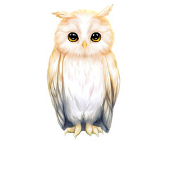 Woodland Animals