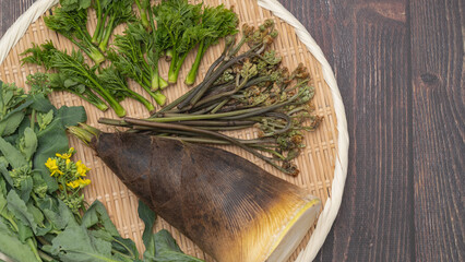 日本の春の山菜イメージ　たけのこ・ワラビ・菜の花など