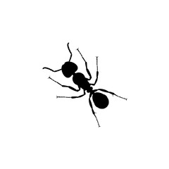 Ant Silhouette for Art Illustration, Logo, Pictogram, Website, or Graphic Design Element. Vector Illustration