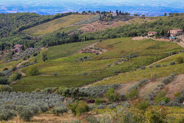 Fototapeta na wymiar Beautiful mountainous landscape of the Tuscan Val d'Orcia region, Italy.
