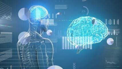 Animation of financial data processing over human body and globe - Powered by Adobe