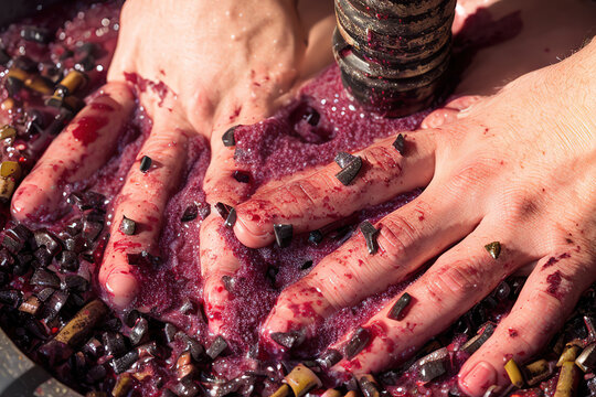 Winepress with red must and helical screw. Traditional old technique of wine making. Filtering grape must. Generative ai.