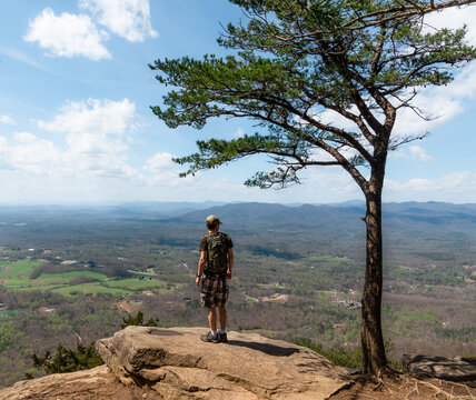 Male hiker standing next to a tree overlooking a valley