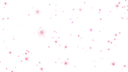 Fototapeta na wymiar png spring flowers falling, Japanese cherry blossom and petals transparent background, 4k design element