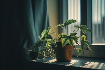 A leafy plant sitting on a windowsill. Generative AI