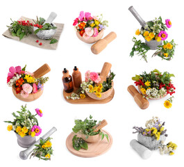Mortars with flowers and herbs on white background, collage design