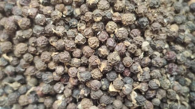 Pile of dried peppercorns, piperaceae, piper nigrum, piperine, black pepper spice seeds. Aromatic seasoning and flavoring food condiment or ingredient. Closeup slowmotion macro top shot with rotation.