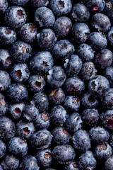 blueberries on the table