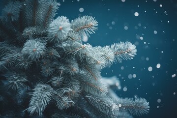 Fototapeta na wymiar Festive winter banner with blue background, frosty pine tree and Christmas vibe. Generative AI