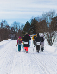 Process of winter hiking in Scandinavia, landscape view of a finnish wilderness with a group of tourists with trekking sticks poles walk in snow in the national park of Finland