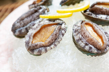 Fresh raw abalone on ice