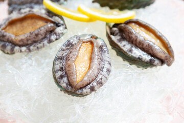 Fresh raw abalone on ice