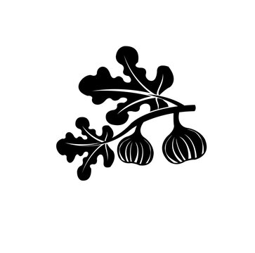 recommend clip art: fig tree branch with leaves silhouette vector