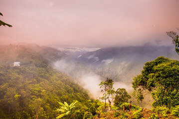 misty morning in the Colombian mountains