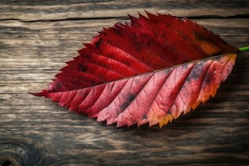 single red leaf resting on a wooden surface. Generative AI