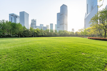 Fototapeta premium green lawn with city park
