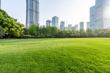 city skyline with green lawn - obrazy, fototapety, plakaty