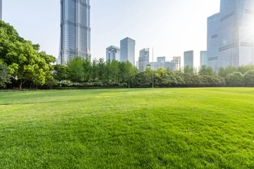 Schilderijen op glas city skyline with green lawn © THINK b