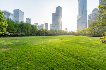 city skyline with green lawn