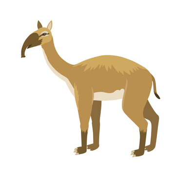 Prehistoric animal, macrauchenia. Vector illustration of cartoon animal character.
