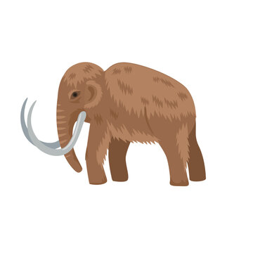 recommend clip art: Prehistoric animal, saber-tooth tiger. Vector illustration of cartoon animal character.