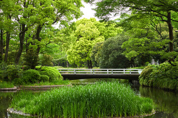 静かな初夏の日本の庭園の風景
