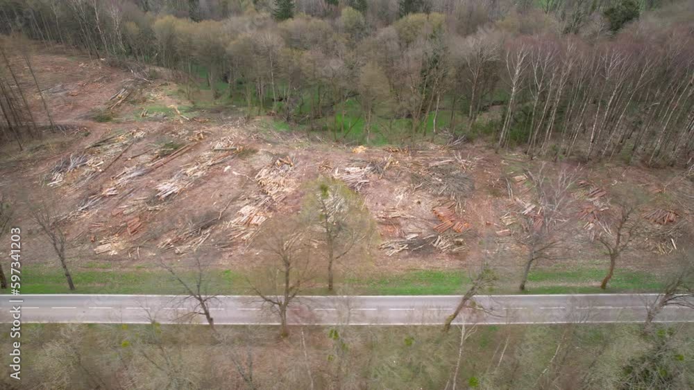 Poster aerial view of logging site in forest - drone shot