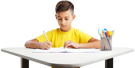 The child learning in school or home. Education concept