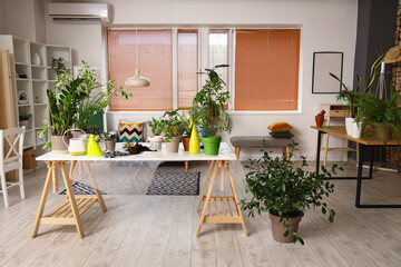 Fototapeta na wymiar Interior of living room with green houseplants on table