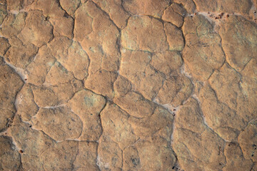 cracked earth texture