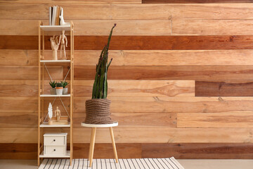 Pot with big cactus on stool and shelving unit near wooden wall