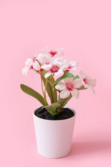 Naklejka na ściany i meble Beautiful flowers in pot on pink background